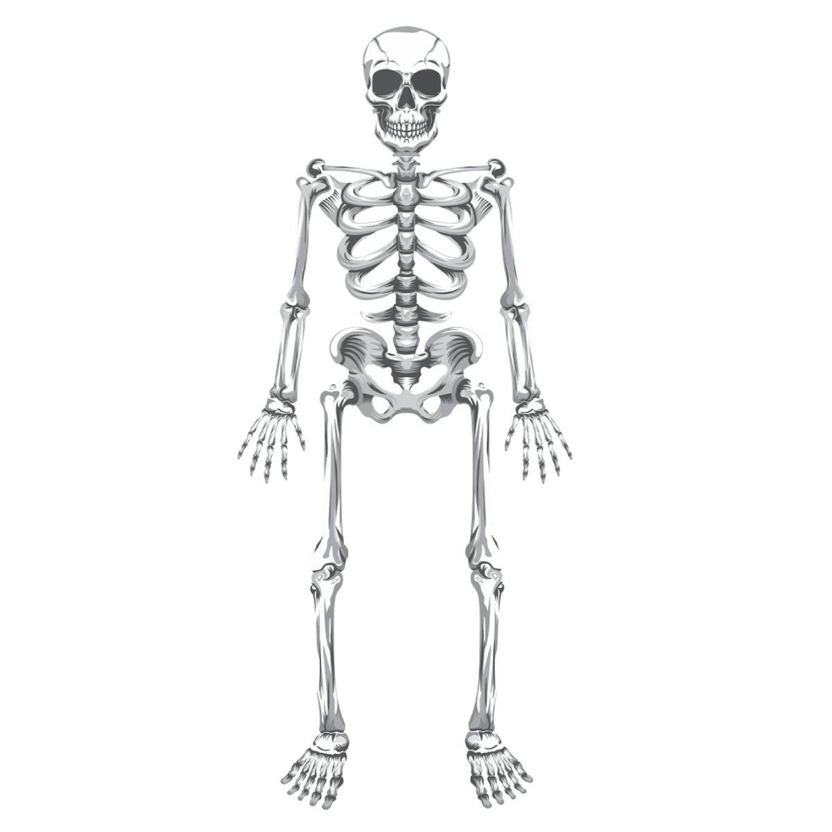 Painel Esqueleto Horripilante Halloween 3...